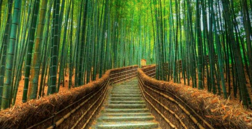 Captura de pantalla 2019-10-08 a las 13.21.58